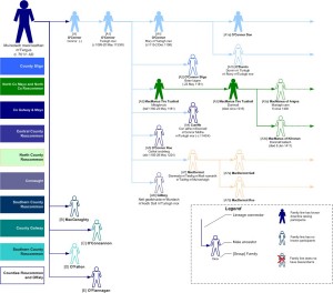 O'Conor Pedigree Chart